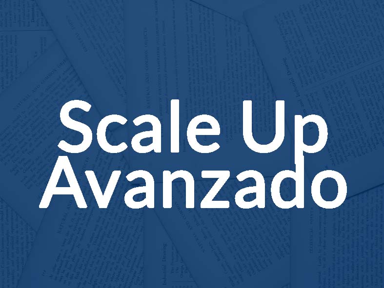 scale up avanzado